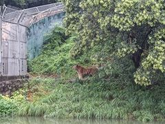 -宁波野生动物园