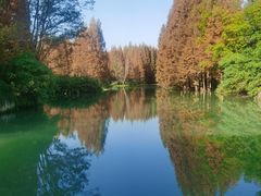 -桤木河湿地公园