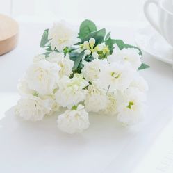 -莲生母婴月子中心(清水河公园店)