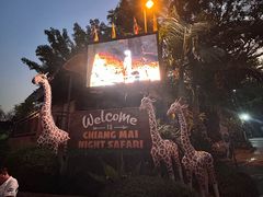 -清迈夜间动物园