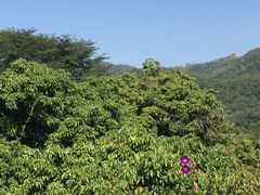 -大屏嶂森林公园