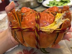 -黄记大闸蟹专卖店·活蟹·醉蟹