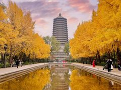 -玲珑塔公园