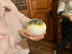 -永安鱼庄·镇江菜(丁卯店)