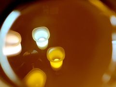 -Bombay Grill印度餐厅