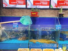 水产区-双合园·海鲜水饺青岛菜(大尧三路店)