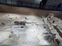 -洛阳周王城天子驾六博物馆