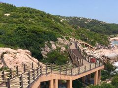 -广东惠东海龟国家级自然保护区
