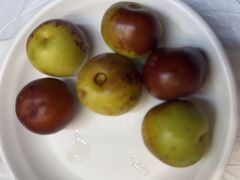 -船梆煮•蒸汽海鲜·生腌干蒸(五四广场店)