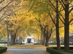 -北京理工大学(中关村校区)