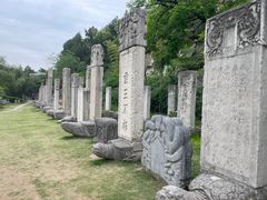 -徐州龟山景区