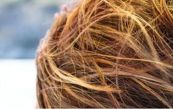 -Bollins波林丝•专研护发中心