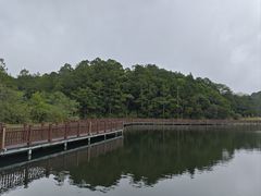 -海南热带雨林国家公园吊罗山景区