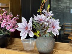 -野菌皇海景野生菌火锅(滨海大道店)