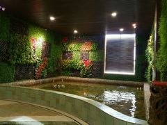 -泉城欧乐堡戏水湾艺术养生温泉