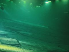 -白鹤梁水下博物馆