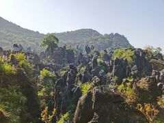 -玉石林风景区