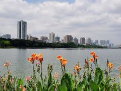 -南宁南湖公园