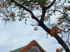-珠海圆明新园