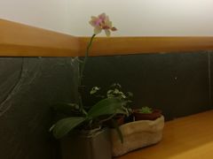 -十二舍·湯物素煮(江泰潤政店)