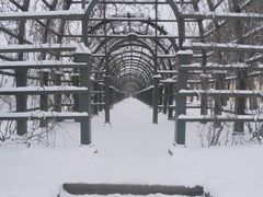 -夏园