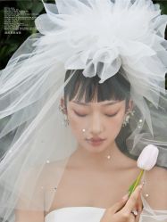 点击看大图 -至臻微拉婚纱摄影