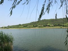 -羊山湖公园