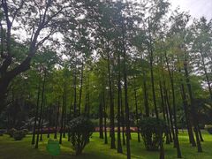 -晓港公园