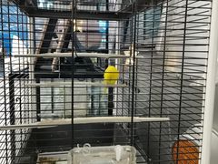 -凯德广场(学府店)