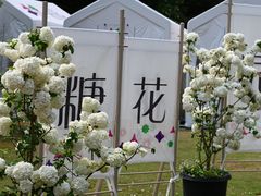 -深圳仙湖植物园