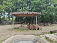 -宁波野生动物园