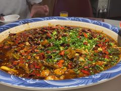-新概念来凤鱼(璧山店)
