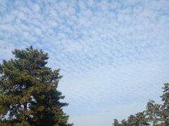 -汉景帝阳陵博物院