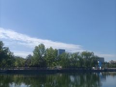 -莲花池公园