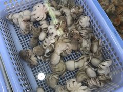 -大湾区中央湿地公园-十九涌