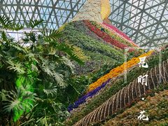 -花之城