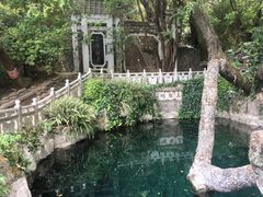 -蝴蝶泉公园