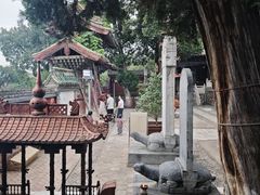 -玉泉观