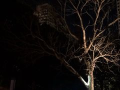 -晋江五店市传统文化旅游区