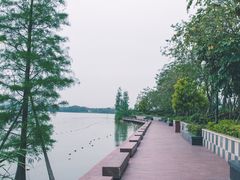 -顺峰山公园