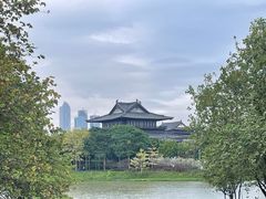-海珠湖公园
