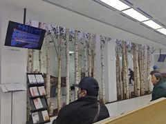 -极简口腔(总院)