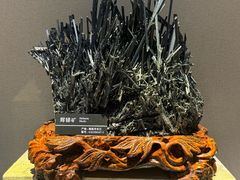 -河南自然博物馆