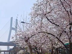 -南浦大桥长途旅游客运站