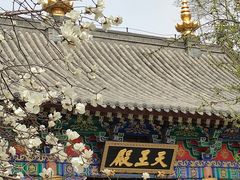 -护国法轮寺