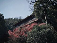 -北高峰