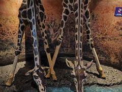 -上海海洋水族馆