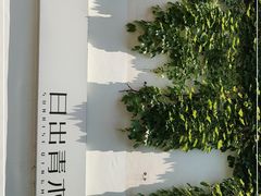 -日出青木·杭帮菜名店