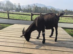 -湘当有饭剁椒鱼头(昆山招商花园城店)