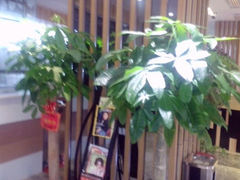 android_upload_pic-永和美食城(东湾店)